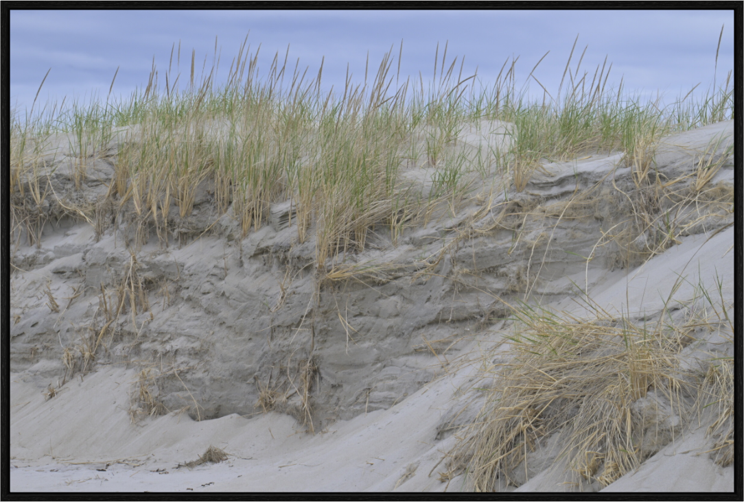 Shifting Sands