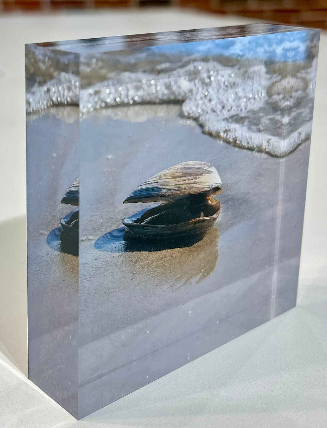 Gallery Block | Seaborn Gift