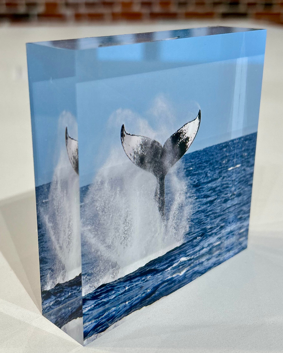 Gallery Block | Majestic Splash