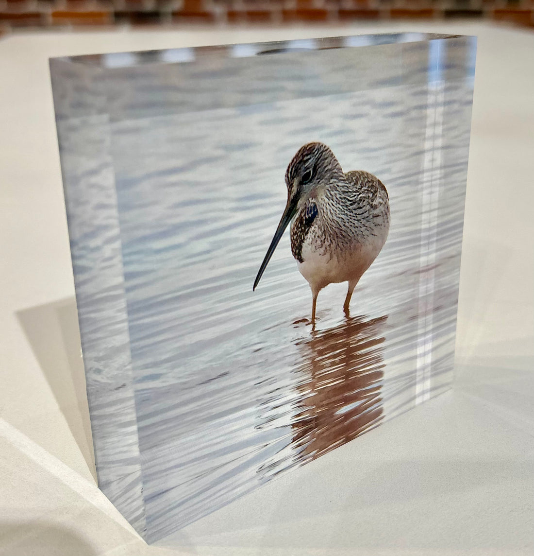 Gallery Block | Tiny Traveler