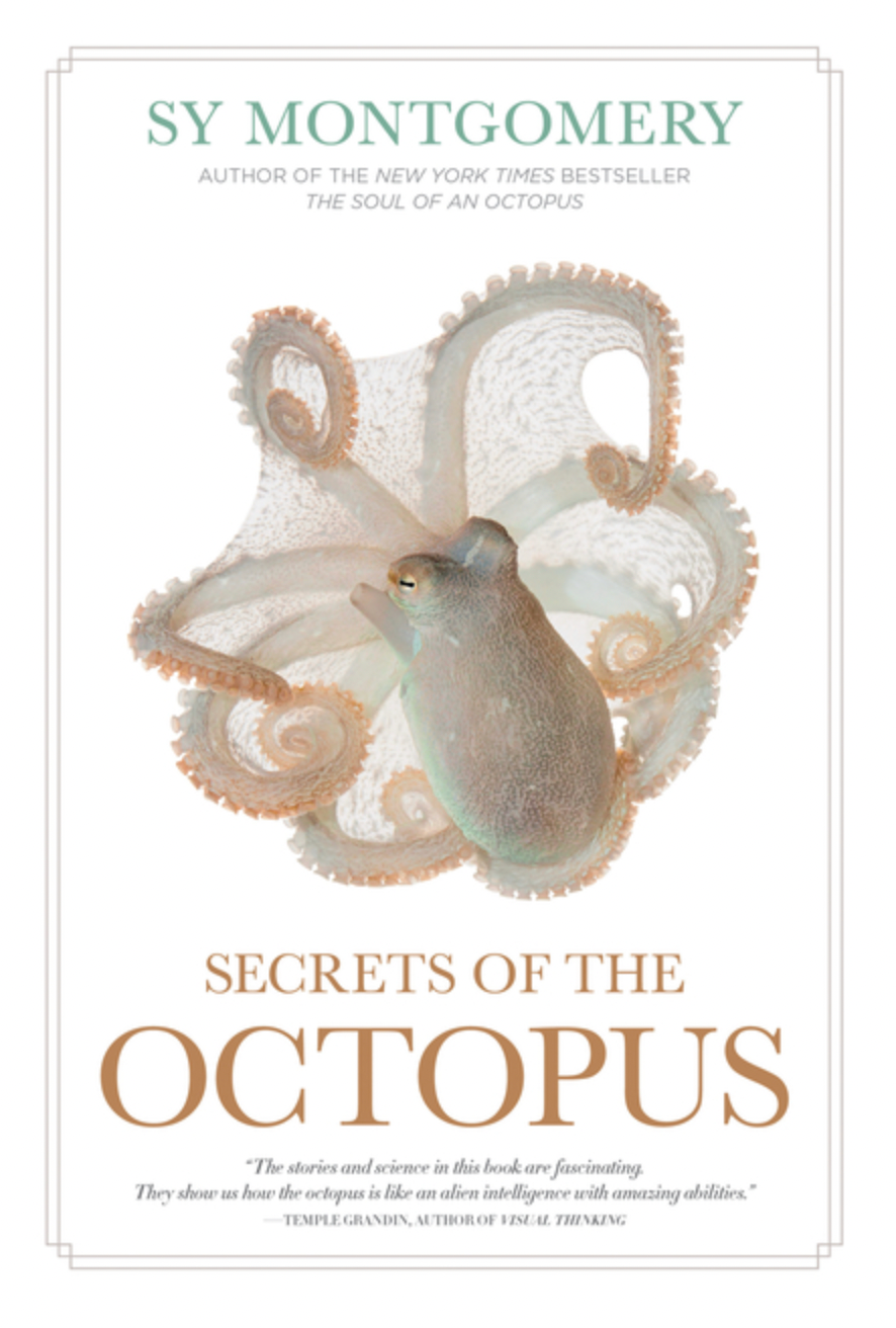 Secrets Of The Octopus