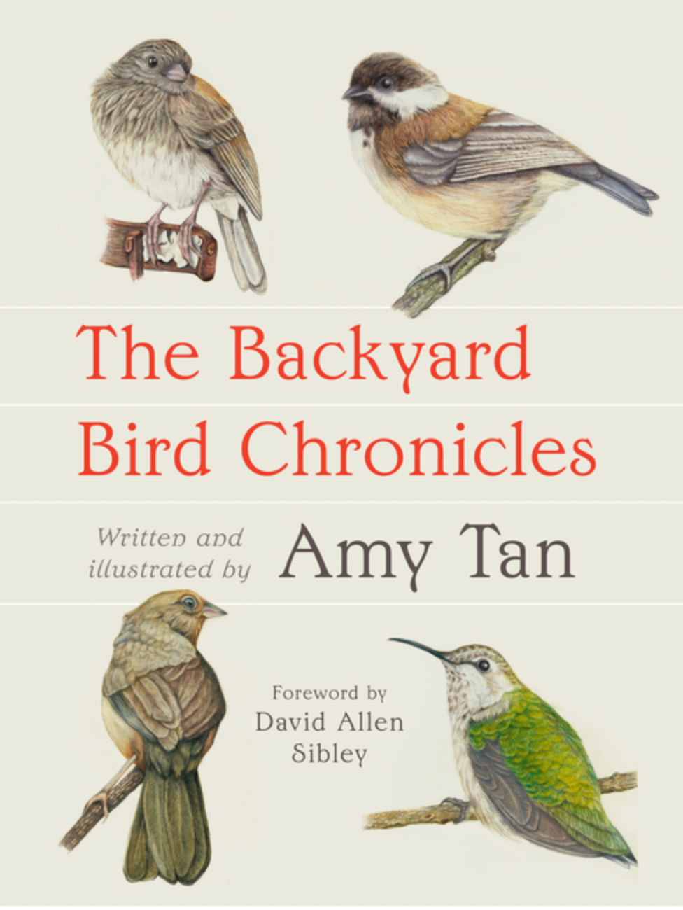 The Backyard Bird Chronicles