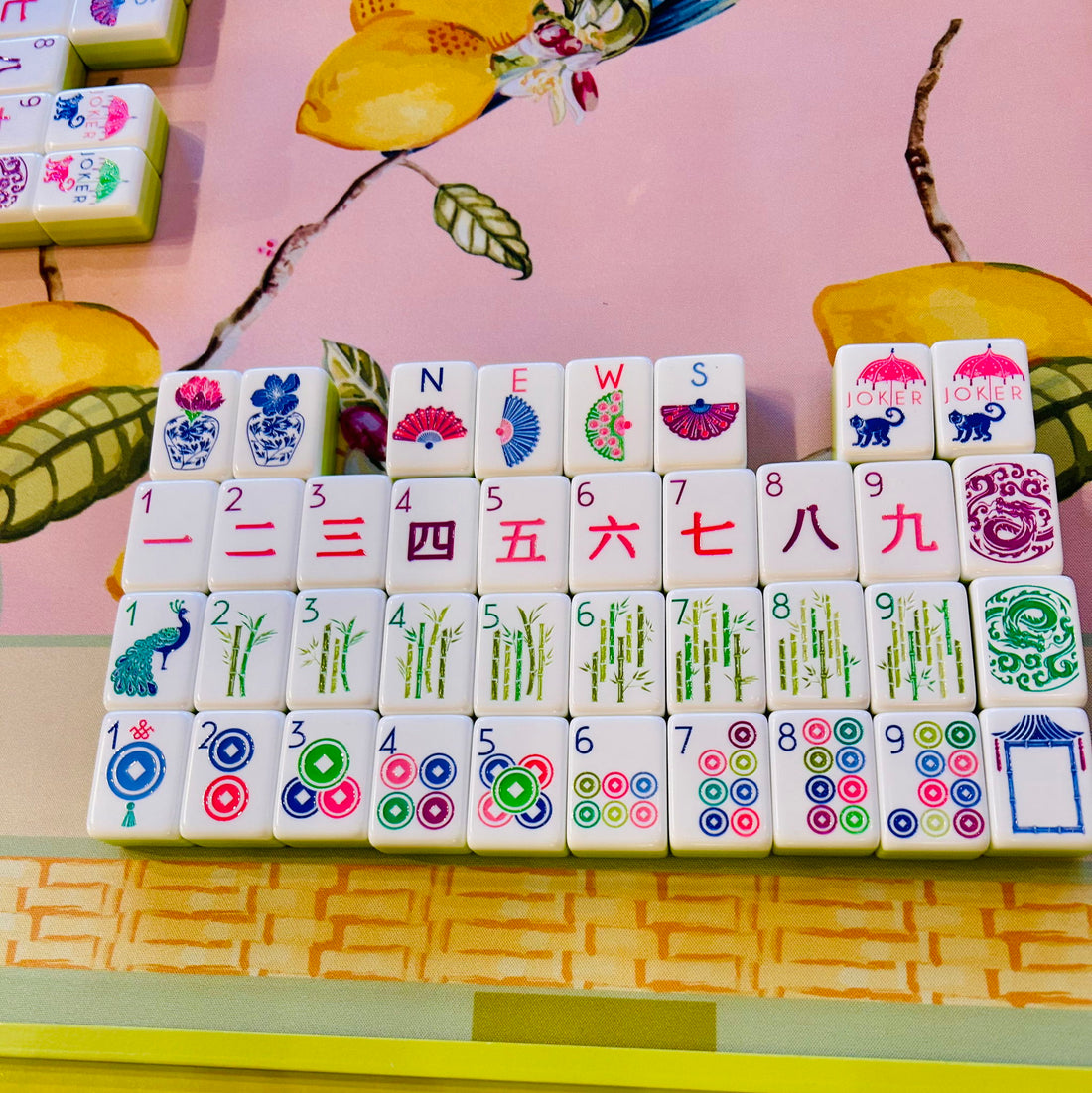 Mahjong 101 Lesson - 9 Jul 2025