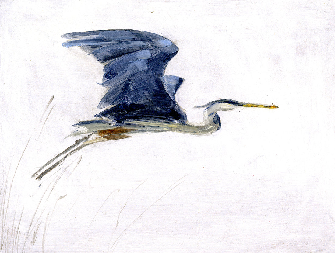 Blue Heron II