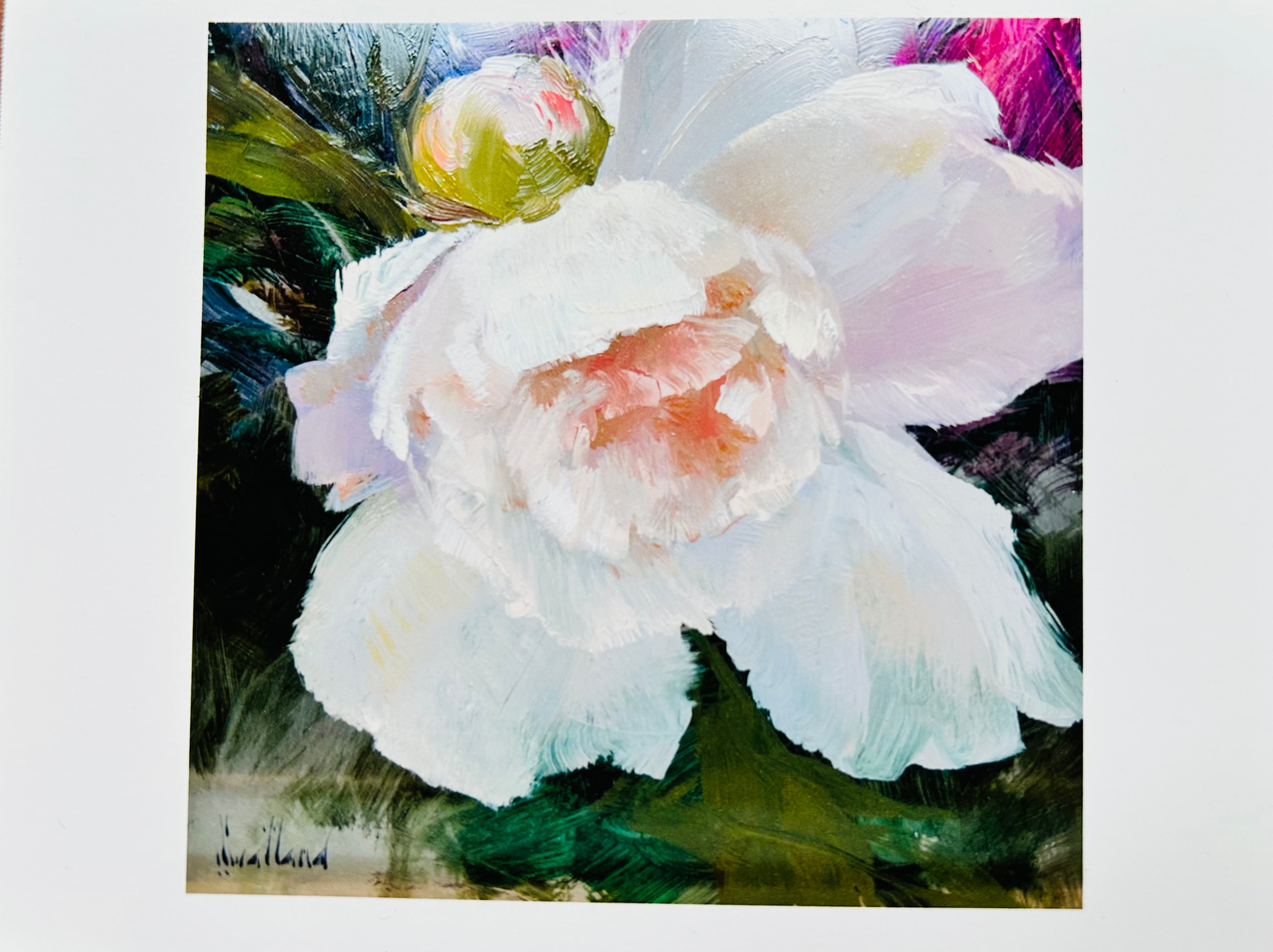 Art Card Bundle - Katie Swatland