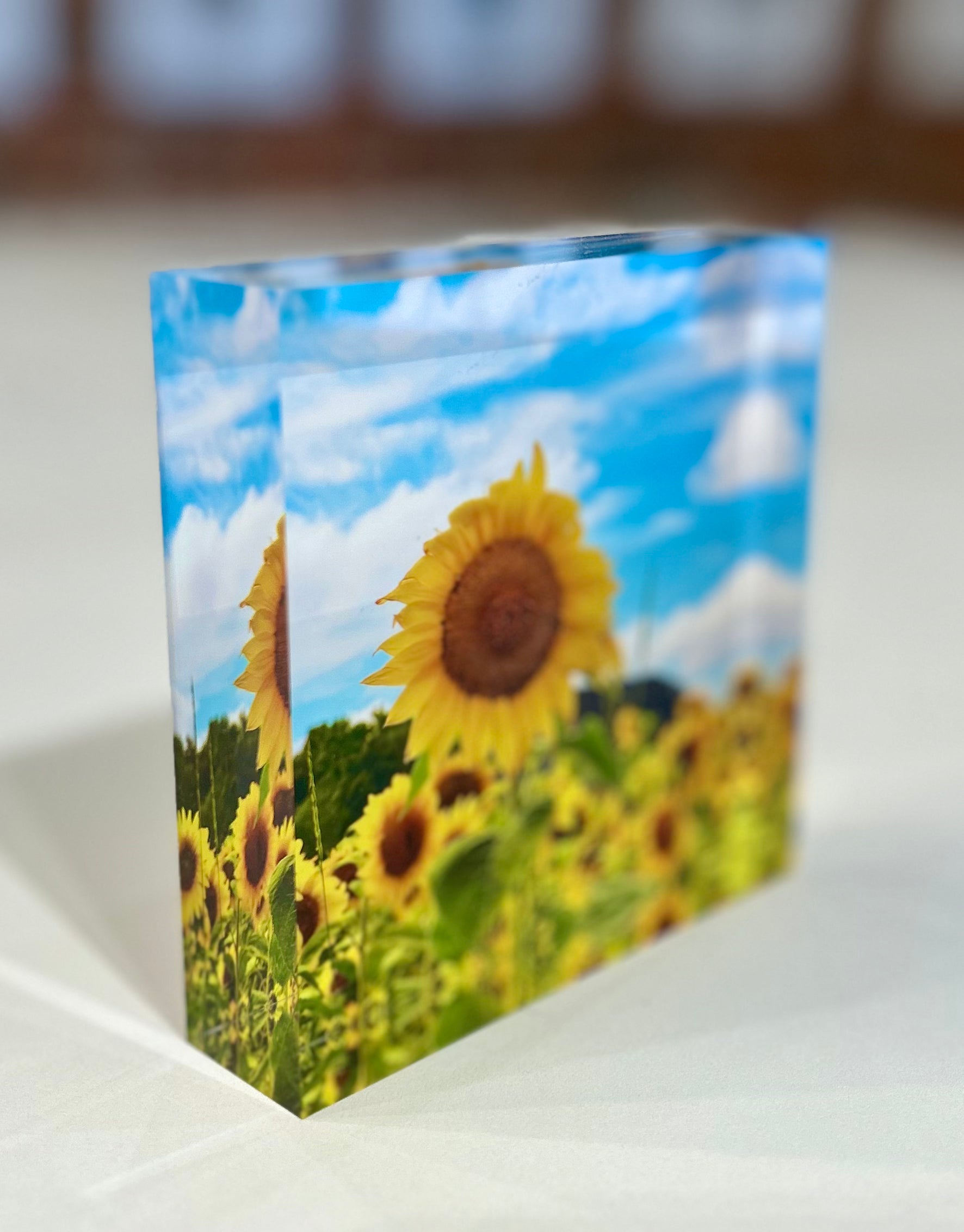 Gallery Block | Sunflower
