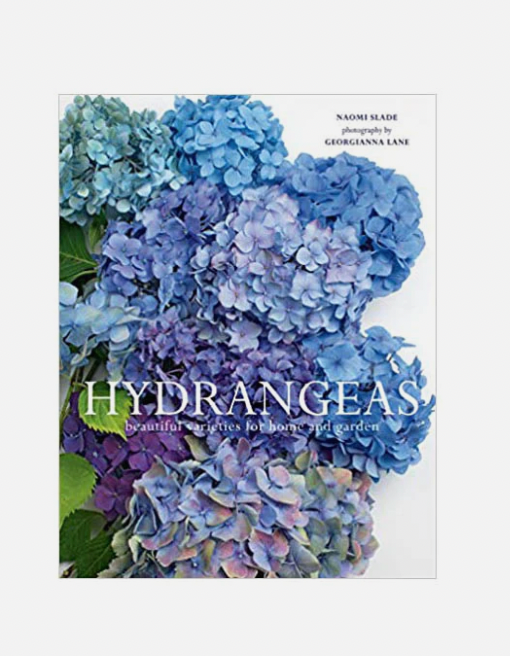 Hydrangeas