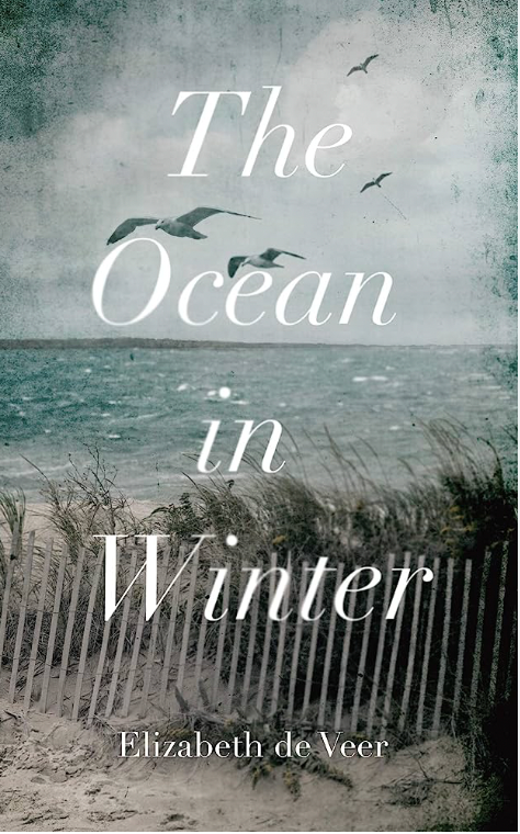 The Ocean in Winter