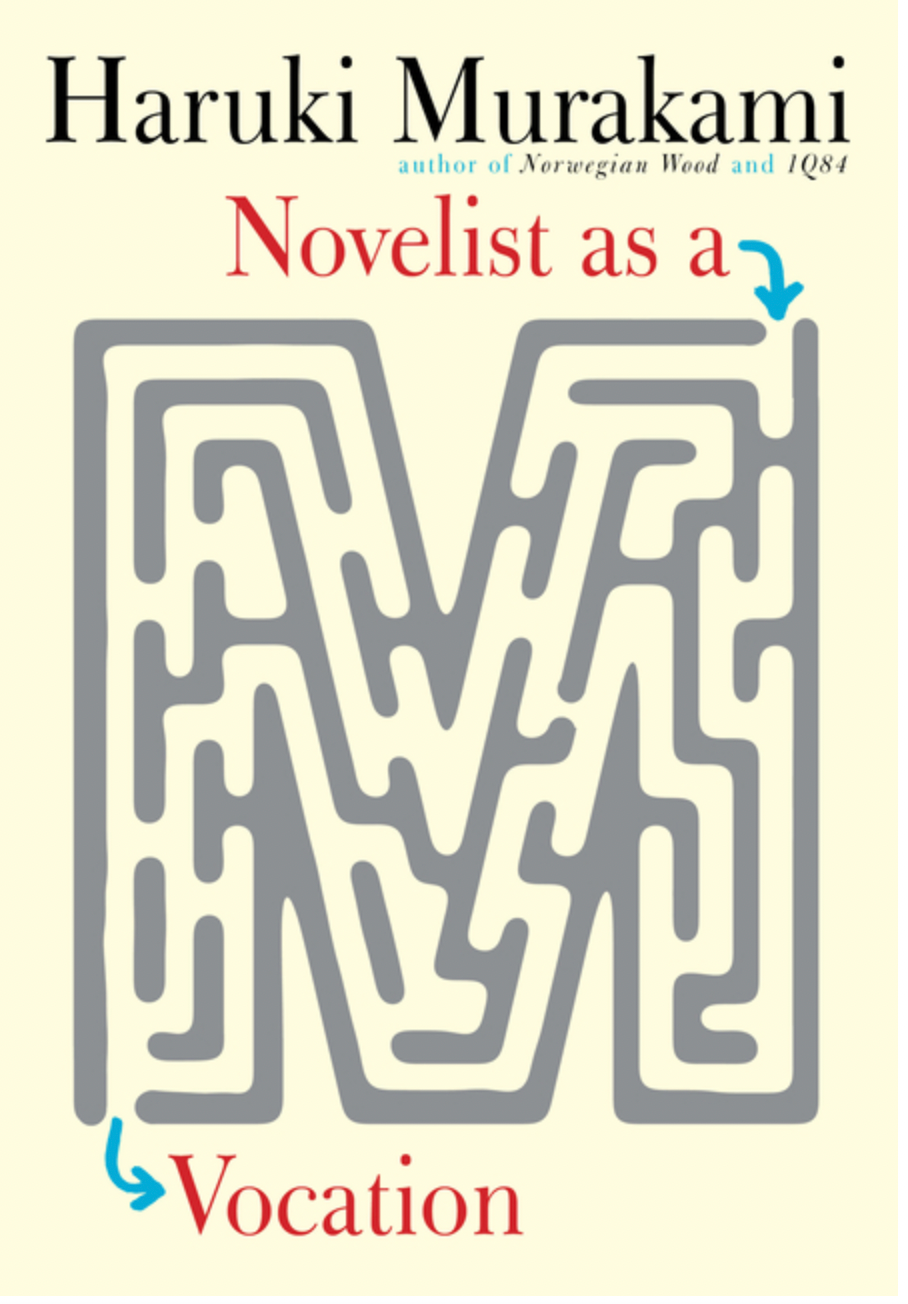 Novelist As A Vocation