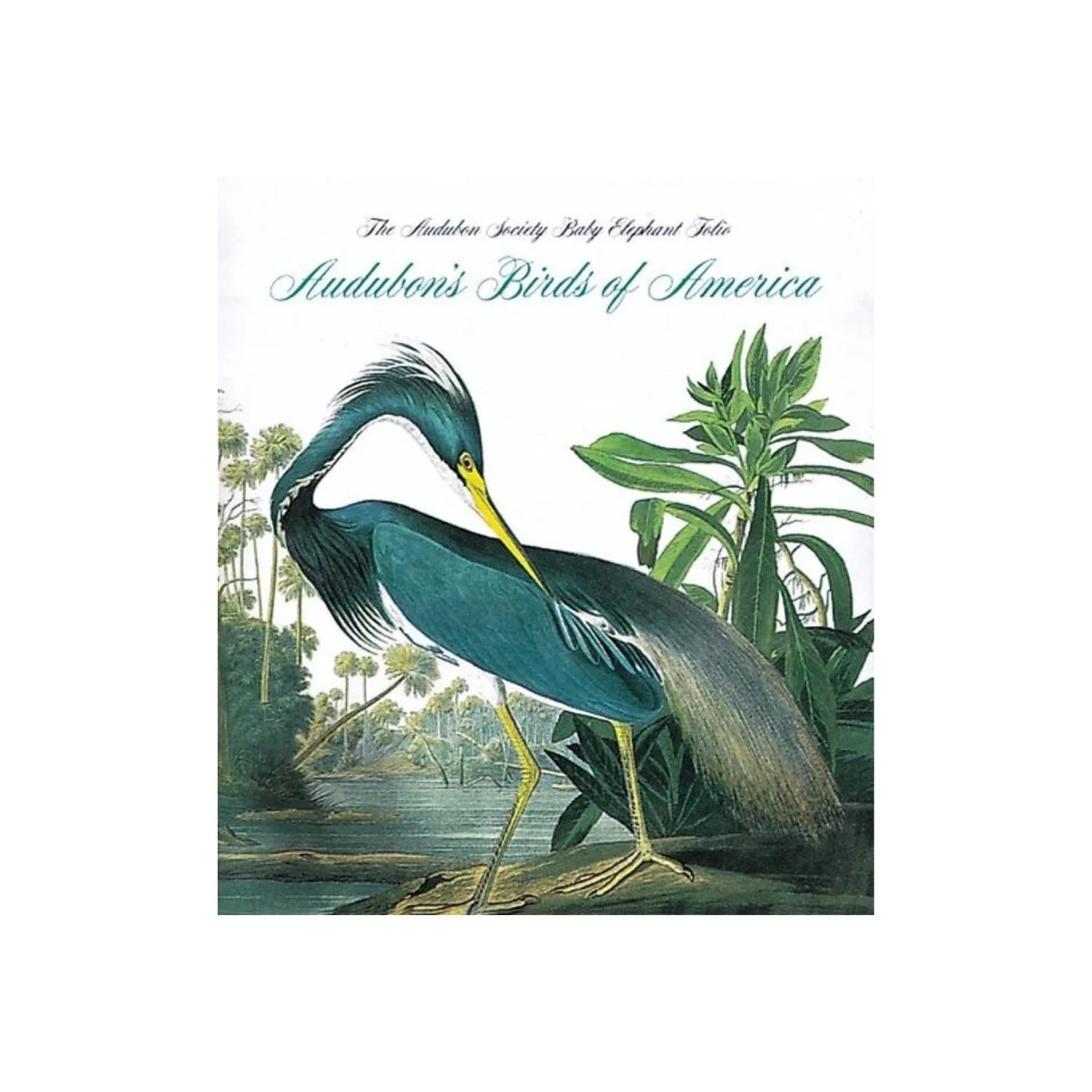 The National Audubon Society Baby Elephant Folio: Audubon&