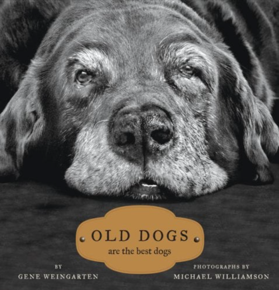 Old Dogs